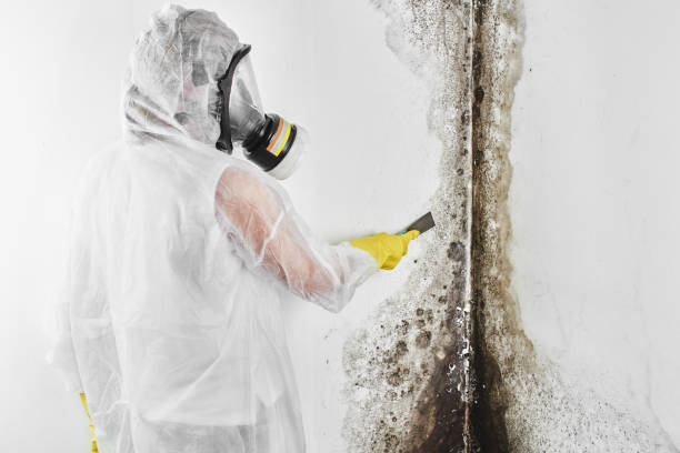 Forensic Mold Investigation in Raymond, IL